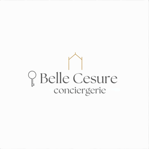 Conciergerie Airbnb à Antony